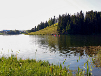 Similar image 21769335