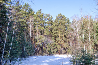 Similar image 21769503