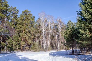 Similar image 21769504