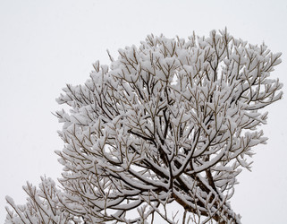 Similar image 21769506