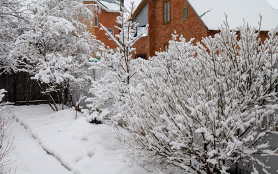 Similar image 21769507