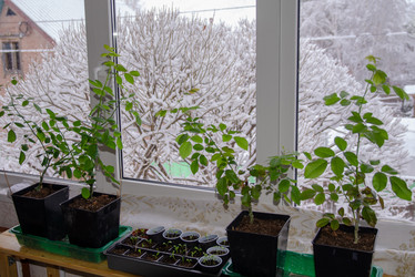 Similar image 21769508