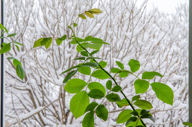 Similar image 21769509