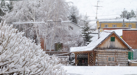 Similar image 21769511