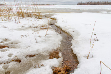 Similar image 21769513