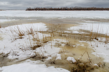 Similar image 21769514