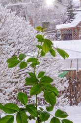 Similar image 21769515