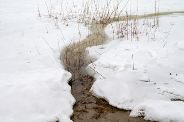 Similar image 21769516