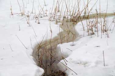 Similar image 21769517