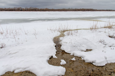 Similar image 21769518