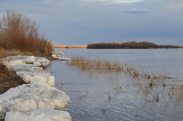 Similar image 21769519