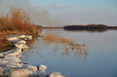 Similar image 21769523