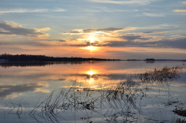 Similar image 21769527