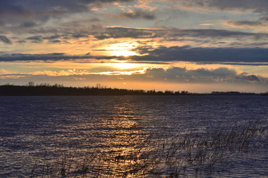 Similar image 21769530