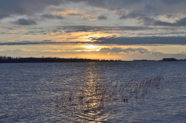 Similar image 21769531