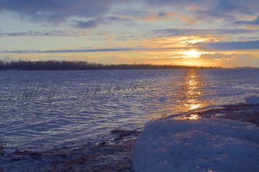 Similar image 21769532