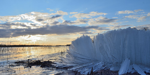 Similar image 21769534