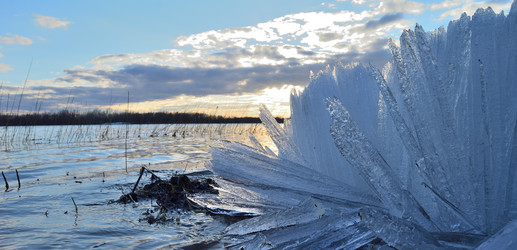 Similar image 21769535