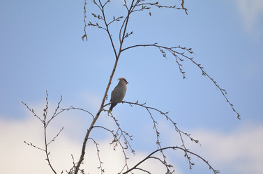 Similar image 21769536