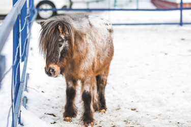 Similar image 21769356