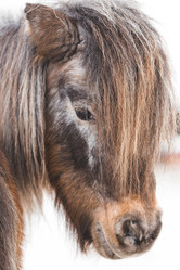 Similar image 21769359