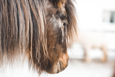 Similar image 21769360