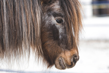 Similar image 21769361