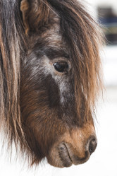 Similar image 21769362