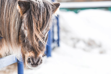 Similar image 21769364