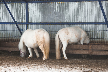 Similar image 21769367