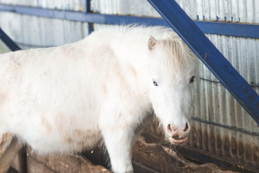 Similar image 21769368