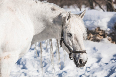 Similar image 21769369