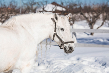 Similar image 21769370