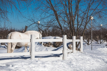 Similar image 21769379