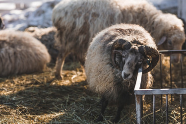 Similar image 21769380