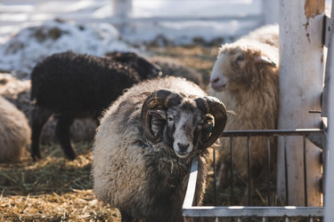 Similar image 21769381