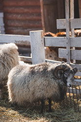 Similar image 21769382