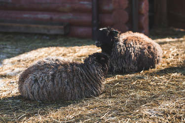 Similar image 21769383