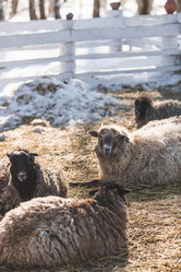 Similar image 21769384