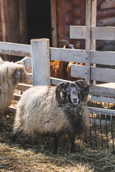 Similar image 21769387