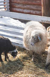 Similar image 21769388