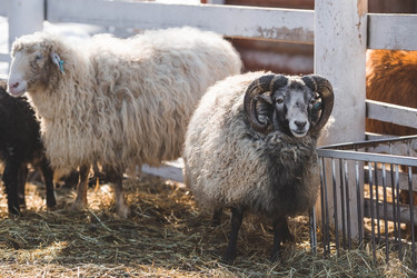 Similar image 21769393