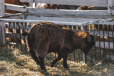 Similar image 21769397