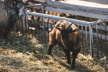 Similar image 21769398