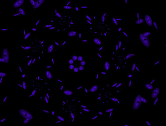 Similar image 21773533