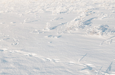 Similar image 21769399