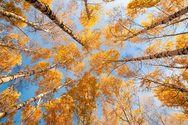 Similar image 21769401