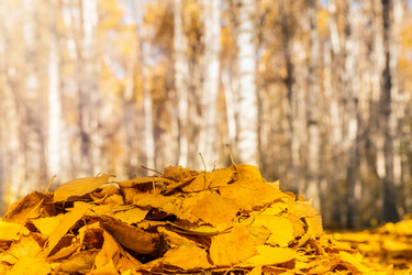 Similar image 21769906