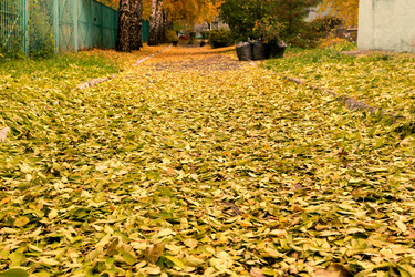 Similar image 21769851