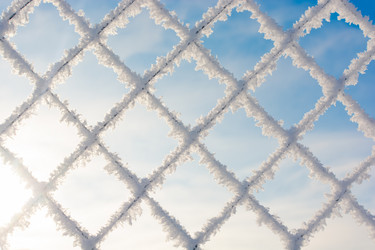 Similar image 21769854